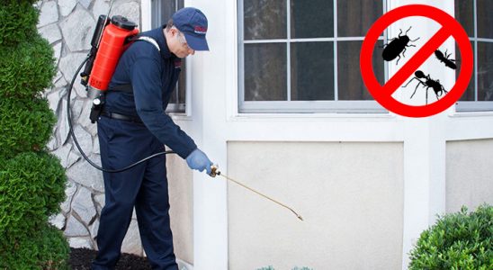 Darıca Bit İlaçlama böcek ilaçlama ve haşere kontrolü — ilaclama-tr.com
